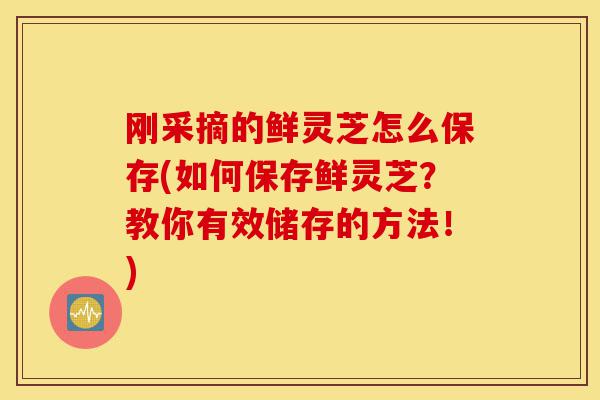 刚采摘的鲜灵芝怎么保存(如何保存鲜灵芝?教你有效储存的方法!)-第1张图片-灵芝之家 刚采摘的鲜灵芝怎么保存(如何保存鲜灵芝?教你有效储存的方法!)-第1张图片-灵芝之家