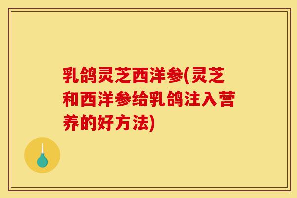 乳鸽灵芝西洋参(灵芝和西洋参给乳鸽注入营养的好方法)-第1张图片-灵芝之家