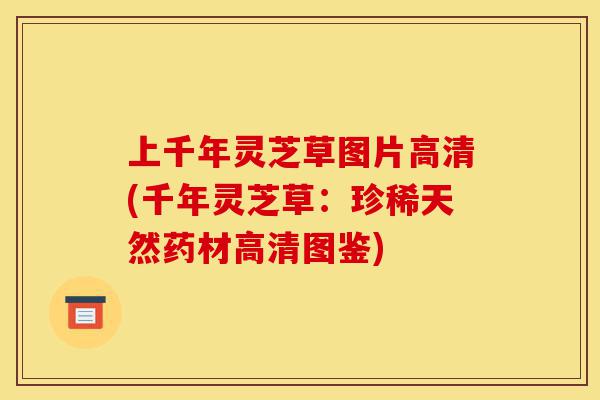 上千年灵芝草图片高清(千年灵芝草:珍稀天然药材高清图鉴)-第1张图片-灵芝之家 上千年灵芝草图片高清(千年灵芝草:珍稀天然药材高清图鉴)-第1张图片-灵芝之家