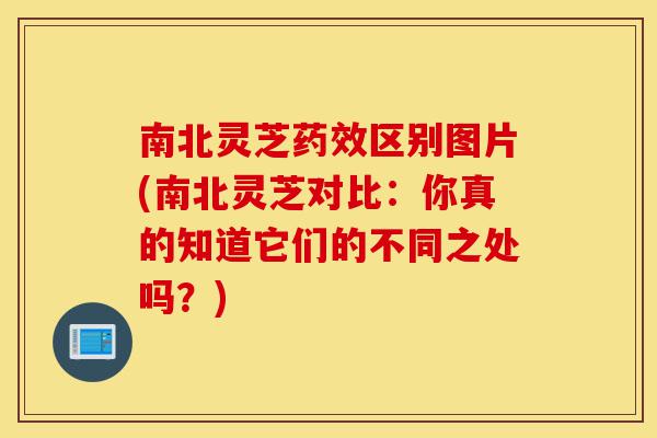 南北灵芝药效区别图片(南北灵芝对比:你真的知道它们的不同之处吗?)-第1张图片-灵芝之家 南北灵芝药效区别图片(南北灵芝对比:你真的知道它们的不同之处吗?)-第1张图片-灵芝之家