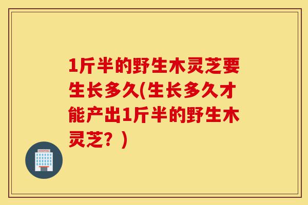 1斤半的野生木灵芝要生长多久(生长多久才能产出1斤半的野生木灵芝?)-第1张图片-灵芝之家 1斤半的野生木灵芝要生长多久(生长多久才能产出1斤半的野生木灵芝?)-第1张图片-灵芝之家