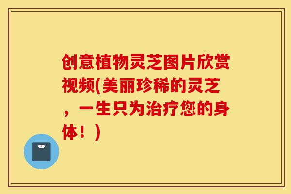 创意植物灵芝图片欣赏视频(美丽珍稀的灵芝,一生只为治疗您的身体!)-第1张图片-灵芝之家 创意植物灵芝图片欣赏视频(美丽珍稀的灵芝,一生只为治疗您的身体!)-第1张图片-灵芝之家
