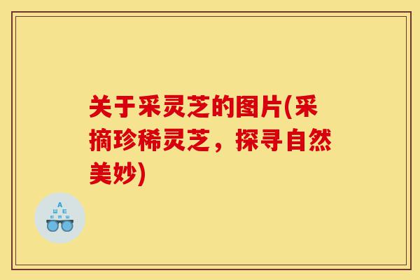 关于采灵芝的图片(采摘珍稀灵芝,探寻自然美妙)-第1张图片-灵芝之家 关于采灵芝的图片(采摘珍稀灵芝,探寻自然美妙)-第1张图片-灵芝之家