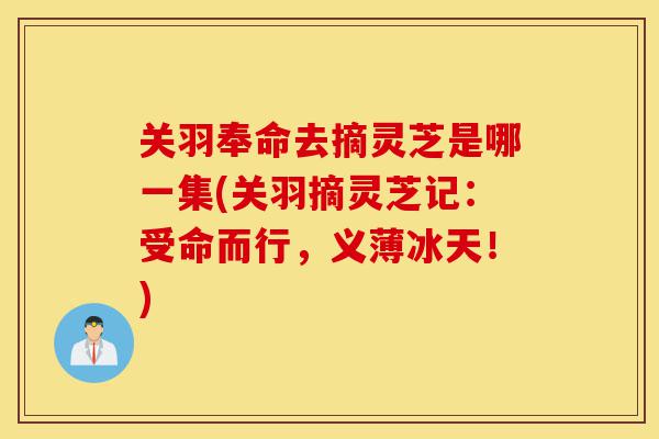关羽奉命去摘灵芝是哪一集(关羽摘灵芝记:受命而行,义薄冰天!)-第1张图片-灵芝之家 关羽奉命去摘灵芝是哪一集(关羽摘灵芝记:受命而行,义薄冰天!)-第1张图片-灵芝之家