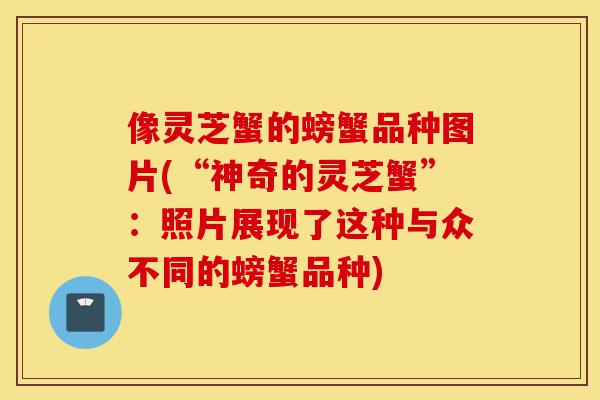 像灵芝蟹的螃蟹品种图片(“神奇的灵芝蟹”:照片展现了这种与众不同的螃蟹品种)-第1张图片-灵芝之家 像灵芝蟹的螃蟹品种图片(“神奇的灵芝蟹”:照片展现了这种与众不同的螃蟹品种)-第1张图片-灵芝之家