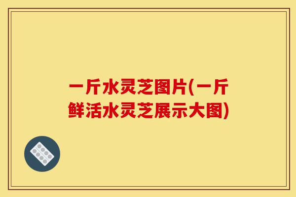 一斤水灵芝图片(一斤鲜活水灵芝展示大图)-第1张图片-灵芝之家 一斤水灵芝图片(一斤鲜活水灵芝展示大图)-第1张图片-灵芝之家