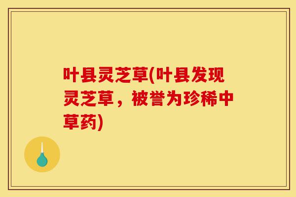叶县灵芝草(叶县发现灵芝草,被誉为珍稀中草药)-第1张图片-灵芝之家 叶县灵芝草(叶县发现灵芝草,被誉为珍稀中草药)-第1张图片-灵芝之家