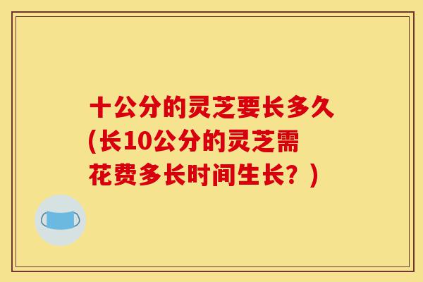 十公分的灵芝要长多久(长10公分的灵芝需花费多长时间生长?)-第1张图片-灵芝之家 十公分的灵芝要长多久(长10公分的灵芝需花费多长时间生长?)-第1张图片-灵芝之家