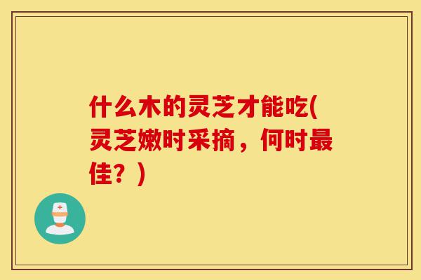 什么木的灵芝才能吃(灵芝嫩时采摘,何时最佳?)-第1张图片-灵芝之家 什么木的灵芝才能吃(灵芝嫩时采摘,何时最佳?)-第1张图片-灵芝之家