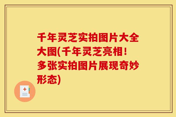 千年灵芝实拍图片大全大图(千年灵芝亮相！多张实拍图片展现奇妙形态)-第1张图片-灵芝之家
