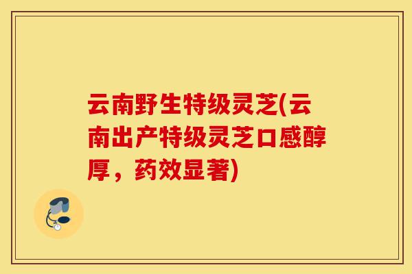 云南野生特级灵芝(云南出产特级灵芝口感醇厚,药效显著)-第1张图片-灵芝之家 云南野生特级灵芝(云南出产特级灵芝口感醇厚,药效显著)-第1张图片-灵芝之家