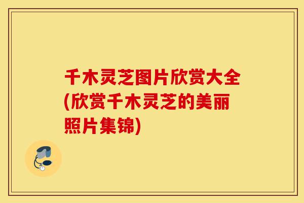 千木灵芝图片欣赏大全(欣赏千木灵芝的美丽照片集锦)-第1张图片-灵芝之家 千木灵芝图片欣赏大全(欣赏千木灵芝的美丽照片集锦)-第1张图片-灵芝之家