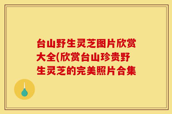 台山野生灵芝图片欣赏大全(欣赏台山珍贵野生灵芝的完美照片合集-第1张图片-灵芝之家 台山野生灵芝图片欣赏大全(欣赏台山珍贵野生灵芝的完美照片合集-第1张图片-灵芝之家