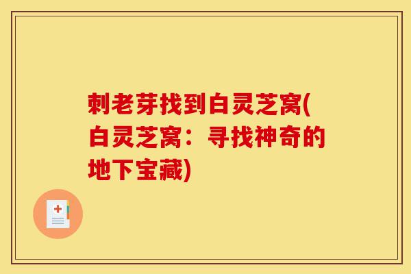刺老芽找到白灵芝窝(白灵芝窝:寻找神奇的地下宝藏)-第1张图片-灵芝之家 刺老芽找到白灵芝窝(白灵芝窝:寻找神奇的地下宝藏)-第1张图片-灵芝之家