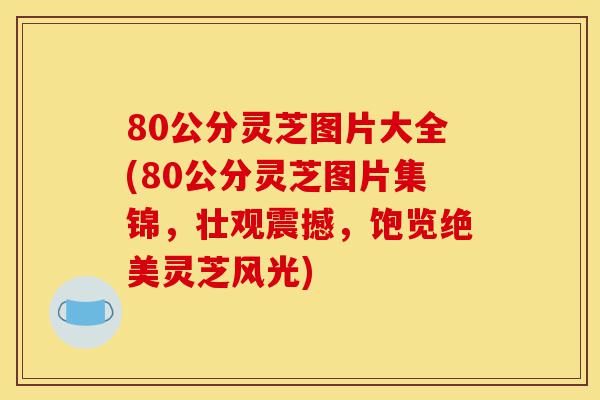 80公分灵芝图片大全(80公分灵芝图片集锦,壮观震撼,饱览绝美灵芝风光)-第1张图片-灵芝之家 80公分灵芝图片大全(80公分灵芝图片集锦,壮观震撼,饱览绝美灵芝风光)-第1张图片-灵芝之家