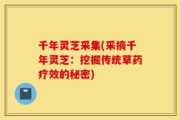 千年灵芝采集(采摘千年灵芝:挖掘传统草药疗效的秘密)-第1张图片-灵芝之家 千年灵芝采集(采摘千年灵芝:挖掘传统草药疗效的秘密)-第1张图片-灵芝之家
