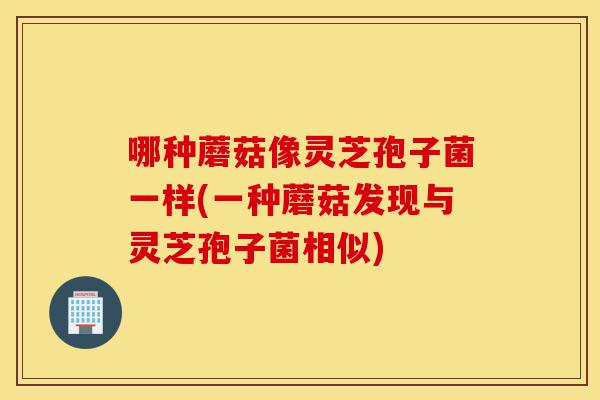 哪种蘑菇像灵芝孢子菌一样(一种蘑菇发现与灵芝孢子菌相似)-第1张图片-灵芝之家 哪种蘑菇像灵芝孢子菌一样(一种蘑菇发现与灵芝孢子菌相似)-第1张图片-灵芝之家