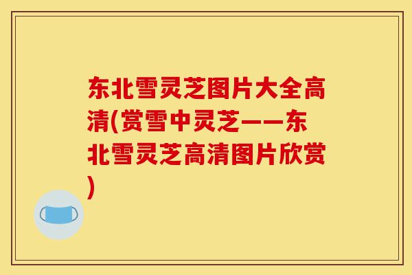 东北雪灵芝图片大全高清(赏雪中灵芝——东北雪灵芝高清图片欣赏)-第1张图片-灵芝之家 东北雪灵芝图片大全高清(赏雪中灵芝——东北雪灵芝高清图片欣赏)-第1张图片-灵芝之家