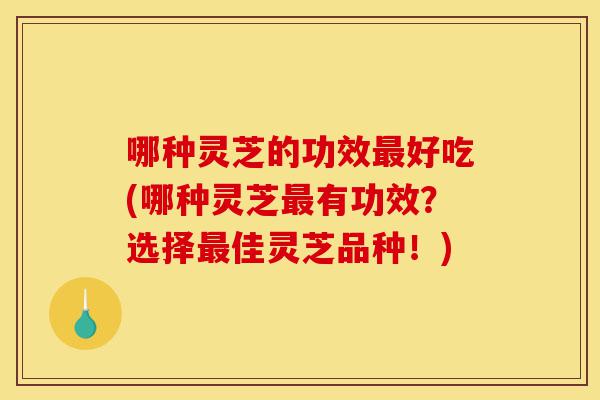 哪种灵芝的功效最好吃(哪种灵芝最有功效?选择最佳灵芝品种!)-第1张图片-灵芝之家 哪种灵芝的功效最好吃(哪种灵芝最有功效?选择最佳灵芝品种!)-第1张图片-灵芝之家