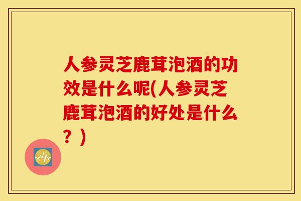 人参灵芝鹿茸泡酒的功效是什么呢(人参灵芝鹿茸泡酒的好处是什么？)-第1张图片-灵芝之家