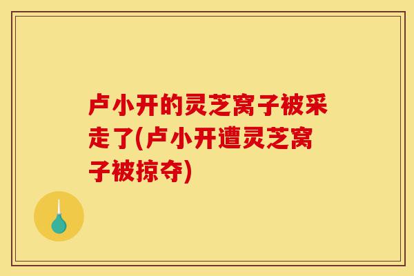卢小开的灵芝窝子被采走了(卢小开遭灵芝窝子被掠夺)-第1张图片-灵芝之家 卢小开的灵芝窝子被采走了(卢小开遭灵芝窝子被掠夺)-第1张图片-灵芝之家