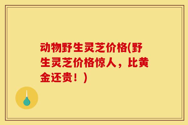 动物野生灵芝价格(野生灵芝价格惊人,比黄金还贵!)-第1张图片-灵芝之家 动物野生灵芝价格(野生灵芝价格惊人,比黄金还贵!)-第1张图片-灵芝之家