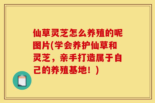 仙草灵芝怎么养殖的呢图片(学会养护仙草和灵芝，亲手打造属于自己的养殖基地！)-第1张图片-灵芝之家