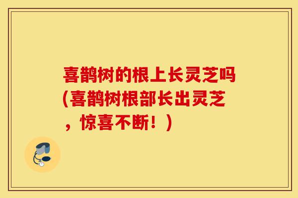 喜鹊树的根上长灵芝吗(喜鹊树根部长出灵芝,惊喜不断!)-第1张图片-灵芝之家 喜鹊树的根上长灵芝吗(喜鹊树根部长出灵芝,惊喜不断!)-第1张图片-灵芝之家