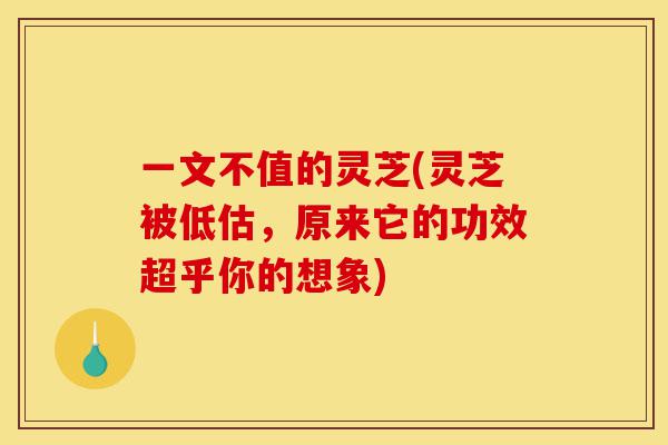 一文不值的灵芝(灵芝被低估,原来它的功效超乎你的想象)-第1张图片-灵芝之家 一文不值的灵芝(灵芝被低估,原来它的功效超乎你的想象)-第1张图片-灵芝之家
