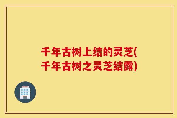 千年古树上结的灵芝(千年古树之灵芝结露)-第1张图片-灵芝之家 千年古树上结的灵芝(千年古树之灵芝结露)-第1张图片-灵芝之家