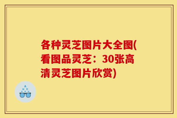 各种灵芝图片大全图(看图品灵芝:30张高清灵芝图片欣赏)-第1张图片-灵芝之家 各种灵芝图片大全图(看图品灵芝:30张高清灵芝图片欣赏)-第1张图片-灵芝之家