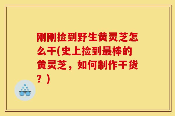 刚刚捡到野生黄灵芝怎么干(史上捡到最棒的黄灵芝,如何制作干货?)-第1张图片-灵芝之家 刚刚捡到野生黄灵芝怎么干(史上捡到最棒的黄灵芝,如何制作干货?)-第1张图片-灵芝之家