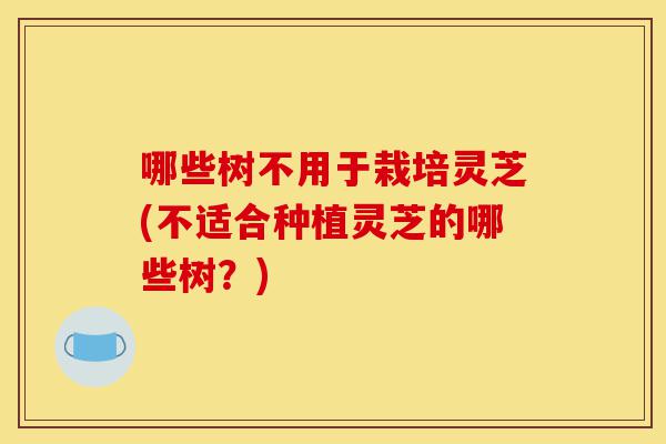 哪些树不用于栽培灵芝(不适合种植灵芝的哪些树?)-第1张图片-灵芝之家 哪些树不用于栽培灵芝(不适合种植灵芝的哪些树?)-第1张图片-灵芝之家