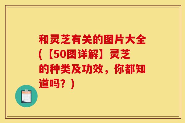 和灵芝有关的图片大全(【50图详解】灵芝的种类及功效,你都知道吗?)-第1张图片-灵芝之家 和灵芝有关的图片大全(【50图详解】灵芝的种类及功效,你都知道吗?)-第1张图片-灵芝之家