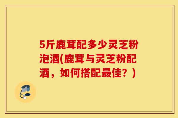 5斤鹿茸配多少灵芝粉泡酒(鹿茸与灵芝粉配酒,如何搭配最佳?)-第1张图片-灵芝之家 5斤鹿茸配多少灵芝粉泡酒(鹿茸与灵芝粉配酒,如何搭配最佳?)-第1张图片-灵芝之家