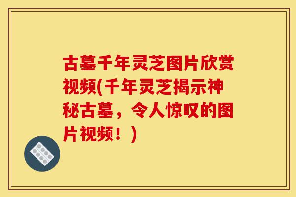 古墓千年灵芝图片欣赏视频(千年灵芝揭示神秘古墓，令人惊叹的图片视频！)-第1张图片-灵芝之家