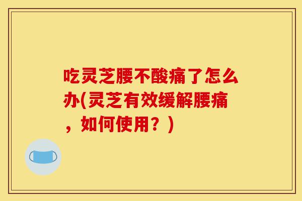 吃灵芝腰不酸痛了怎么办(灵芝有效缓解腰痛,如何使用?)-第1张图片-灵芝之家 吃灵芝腰不酸痛了怎么办(灵芝有效缓解腰痛,如何使用?)-第1张图片-灵芝之家