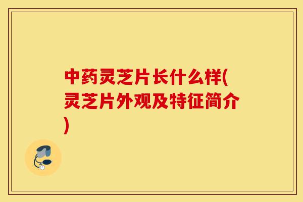 中药灵芝片长什么样(灵芝片外观及特征简介)-第1张图片-灵芝之家 中药灵芝片长什么样(灵芝片外观及特征简介)-第1张图片-灵芝之家