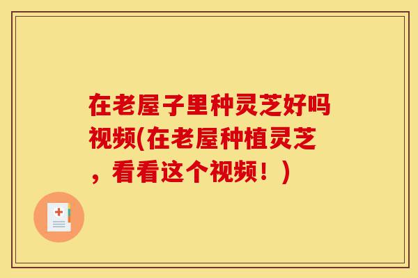 在老屋子里种灵芝好吗视频(在老屋种植灵芝，看看这个视频！)-第1张图片-灵芝之家