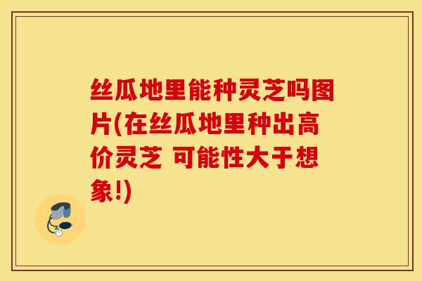 丝瓜地里能种灵芝吗图片(在丝瓜地里种出高价灵芝 可能性大于想象!)-第1张图片-灵芝之家 丝瓜地里能种灵芝吗图片(在丝瓜地里种出高价灵芝 可能性大于想象!)-第1张图片-灵芝之家
