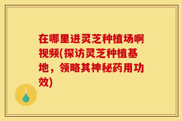 在哪里进灵芝种植场啊视频(探访灵芝种植基地，领略其神秘药用功效)-第1张图片-灵芝之家