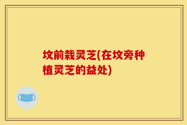 坟前栽灵芝(在坟旁种植灵芝的益处)-第1张图片-灵芝之家 坟前栽灵芝(在坟旁种植灵芝的益处)-第1张图片-灵芝之家