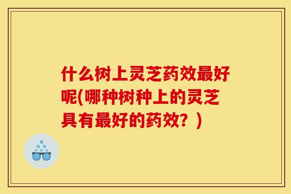 什么树上灵芝药效最好呢(哪种树种上的灵芝具有最好的药效？)-第1张图片-灵芝之家
