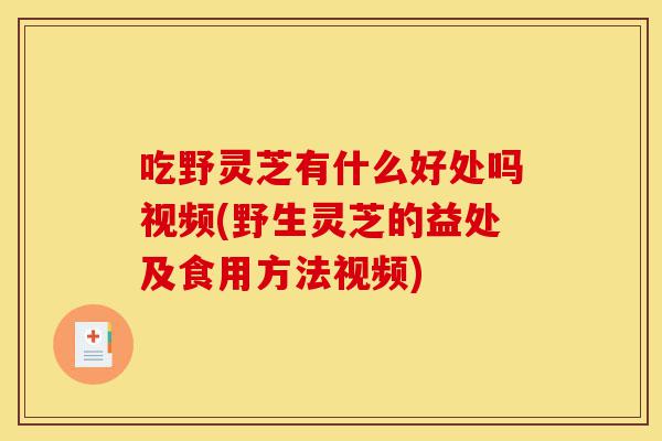 吃野灵芝有什么好处吗视频(野生灵芝的益处及食用方法视频)-第1张图片-灵芝之家 吃野灵芝有什么好处吗视频(野生灵芝的益处及食用方法视频)-第1张图片-灵芝之家