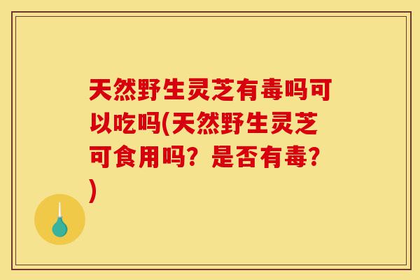天然野生灵芝有毒吗可以吃吗(天然野生灵芝可食用吗?是否有毒?)-第1张图片-灵芝之家 天然野生灵芝有毒吗可以吃吗(天然野生灵芝可食用吗?是否有毒?)-第1张图片-灵芝之家