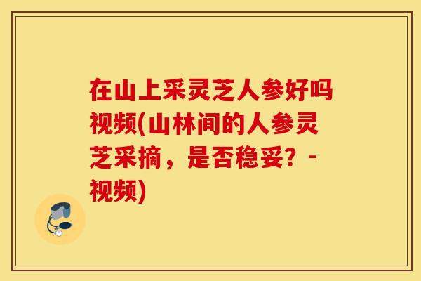 在山上采灵芝人参好吗视频(山林间的人参灵芝采摘,是否稳妥?-视频)-第1张图片-灵芝之家 在山上采灵芝人参好吗视频(山林间的人参灵芝采摘,是否稳妥?-视频)-第1张图片-灵芝之家