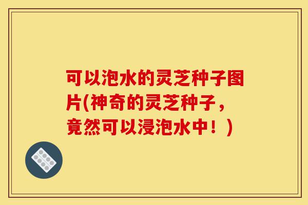 可以泡水的灵芝种子图片(神奇的灵芝种子,竟然可以浸泡水中!)-第1张图片-灵芝之家 可以泡水的灵芝种子图片(神奇的灵芝种子,竟然可以浸泡水中!)-第1张图片-灵芝之家