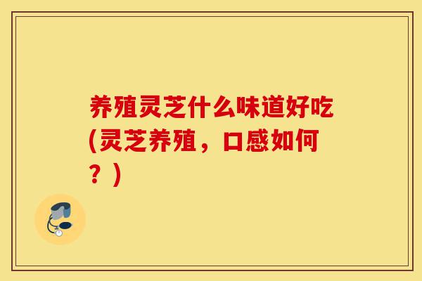养殖灵芝什么味道好吃(灵芝养殖，口感如何？)-第1张图片-灵芝之家