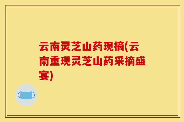 云南灵芝山药现摘(云南重现灵芝山药采摘盛宴)-第1张图片-灵芝之家 云南灵芝山药现摘(云南重现灵芝山药采摘盛宴)-第1张图片-灵芝之家