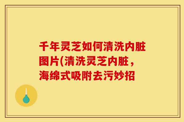 千年灵芝如何清洗内脏图片(清洗灵芝内脏,海绵式吸附去污妙招-第1张图片-灵芝之家 千年灵芝如何清洗内脏图片(清洗灵芝内脏,海绵式吸附去污妙招-第1张图片-灵芝之家
